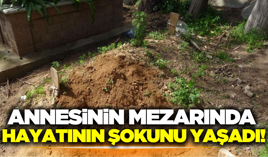 Olay, Muratpaşa ilçesi Meydankavağı Mahallesi 12. Cadde üzerinde bulunan Türbeli Mezarlığı'nda meydana geldi.