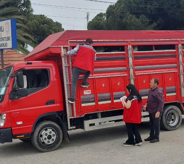 Manisa'da Kurban Bayramı öncesi sıkı denetim-1