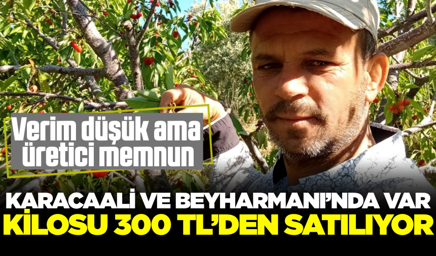Çiftçi zirai donun yarasını fiyat ile sarıyor