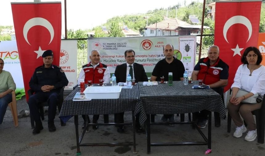 Salihli Böcek (2)