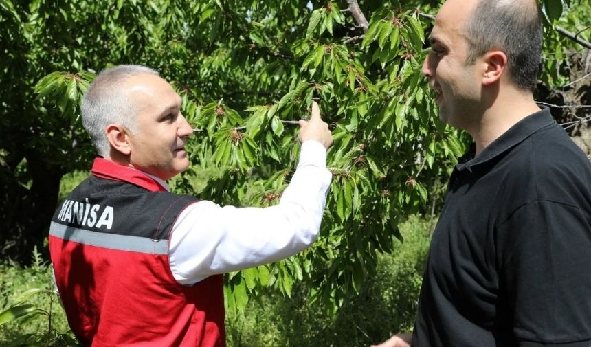 Salihli Böcek (4)
