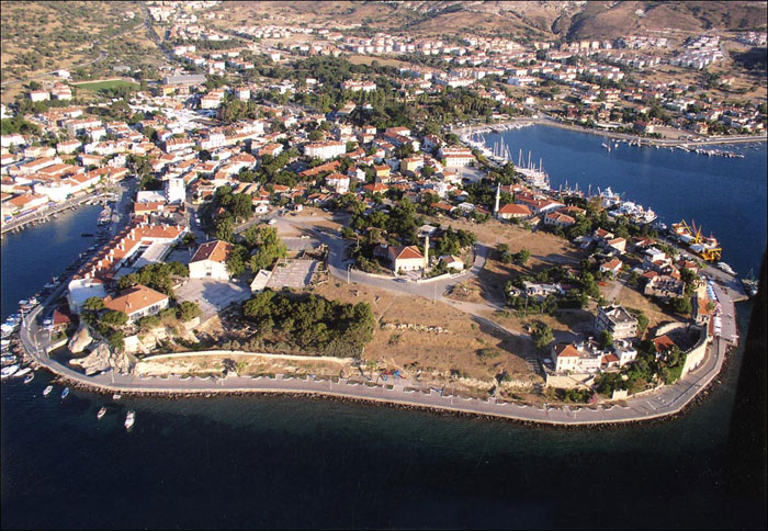 68345,Foca3Jpg