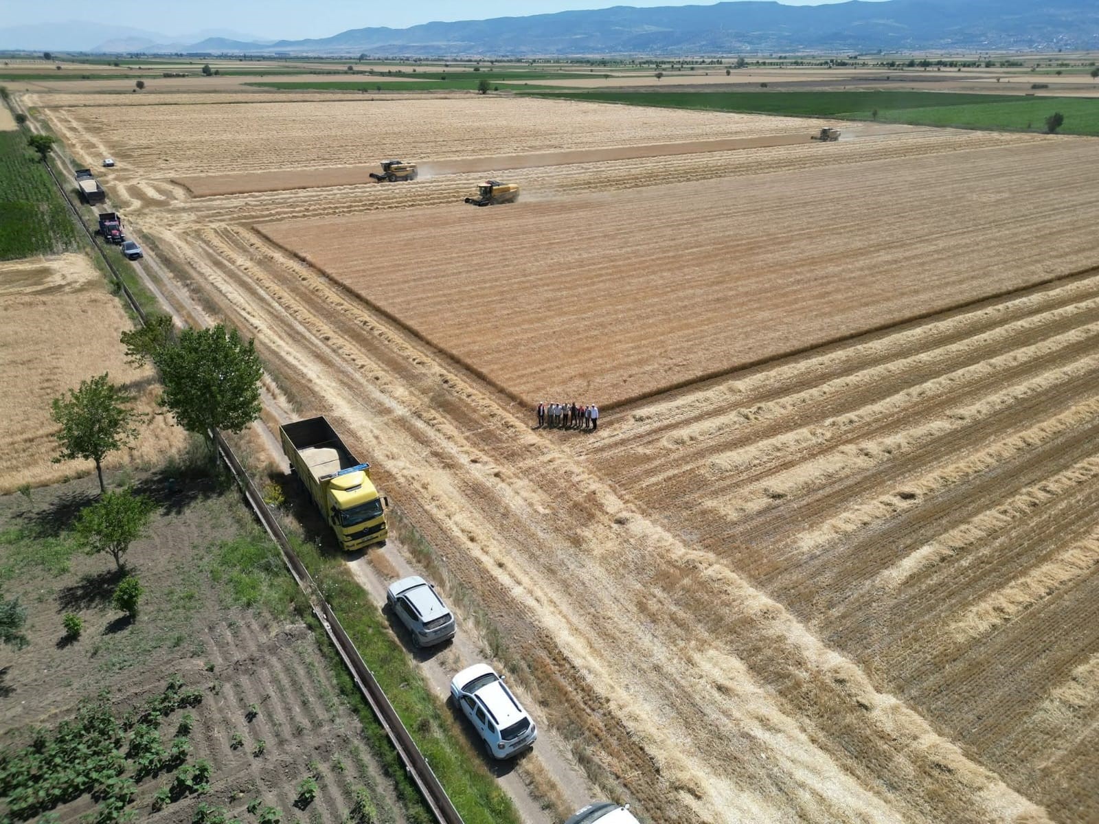 A W483662 01