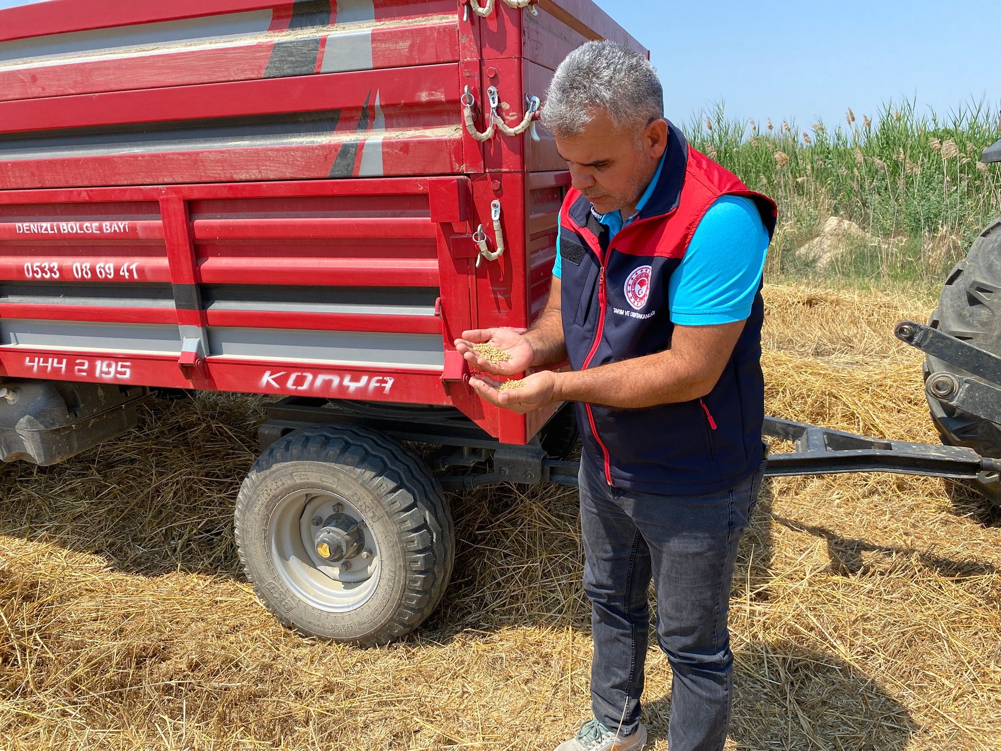Ege'de 2025'In İlk Hasadı Başladı Üreticiler Tarlalara Akın Etti (3)