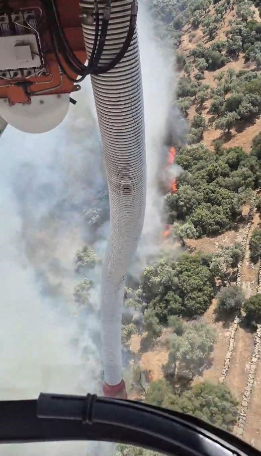 Ege'de Bir Yangın Daha (2)