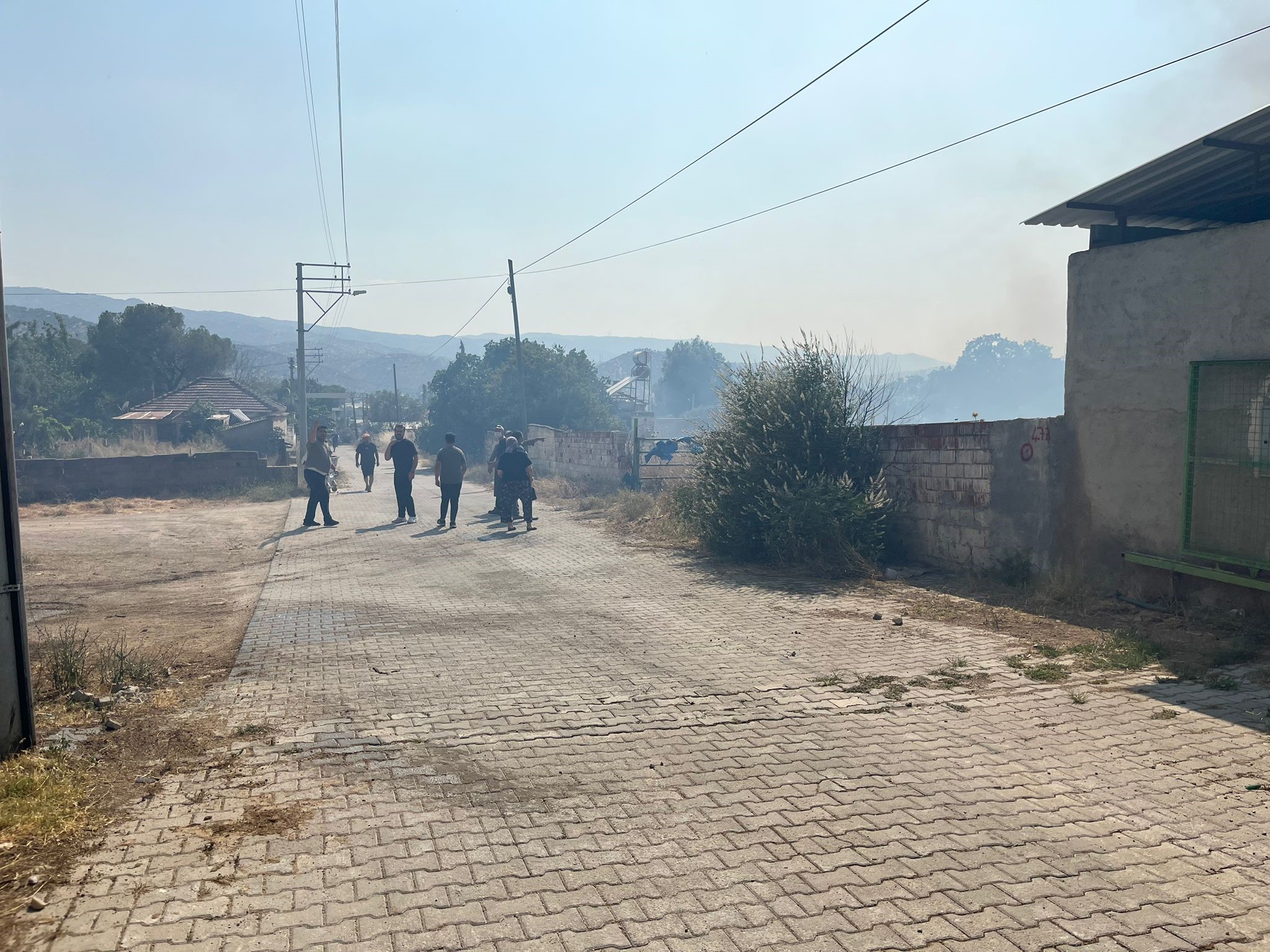 Ege’de Korkutan Yangın! Alevler Yerleşim Yerlerine Yaklaştıı (4)