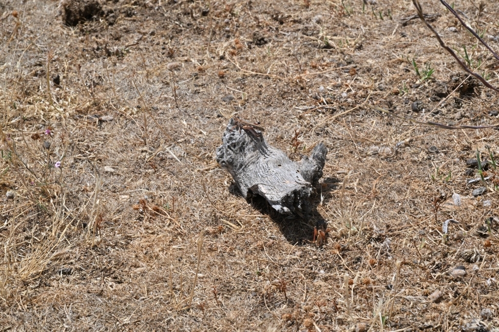 Habermedyafotograf 44991 8Bd7313D35F743C0Aea4F64Adbfad418