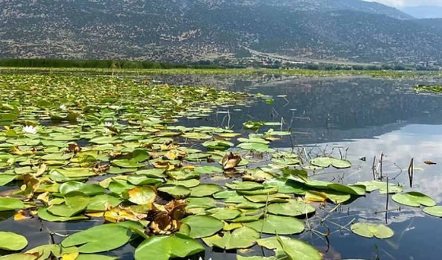 Işıklı Gölü (4)