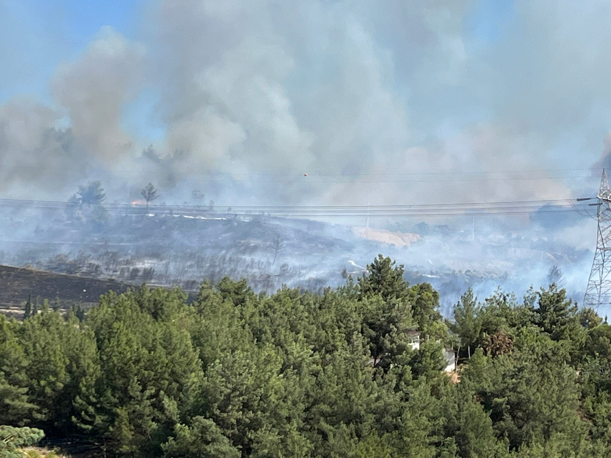 İzmir’de Belediyelerin Çöpleri Orman Yangınına Sebep Olduu (3)