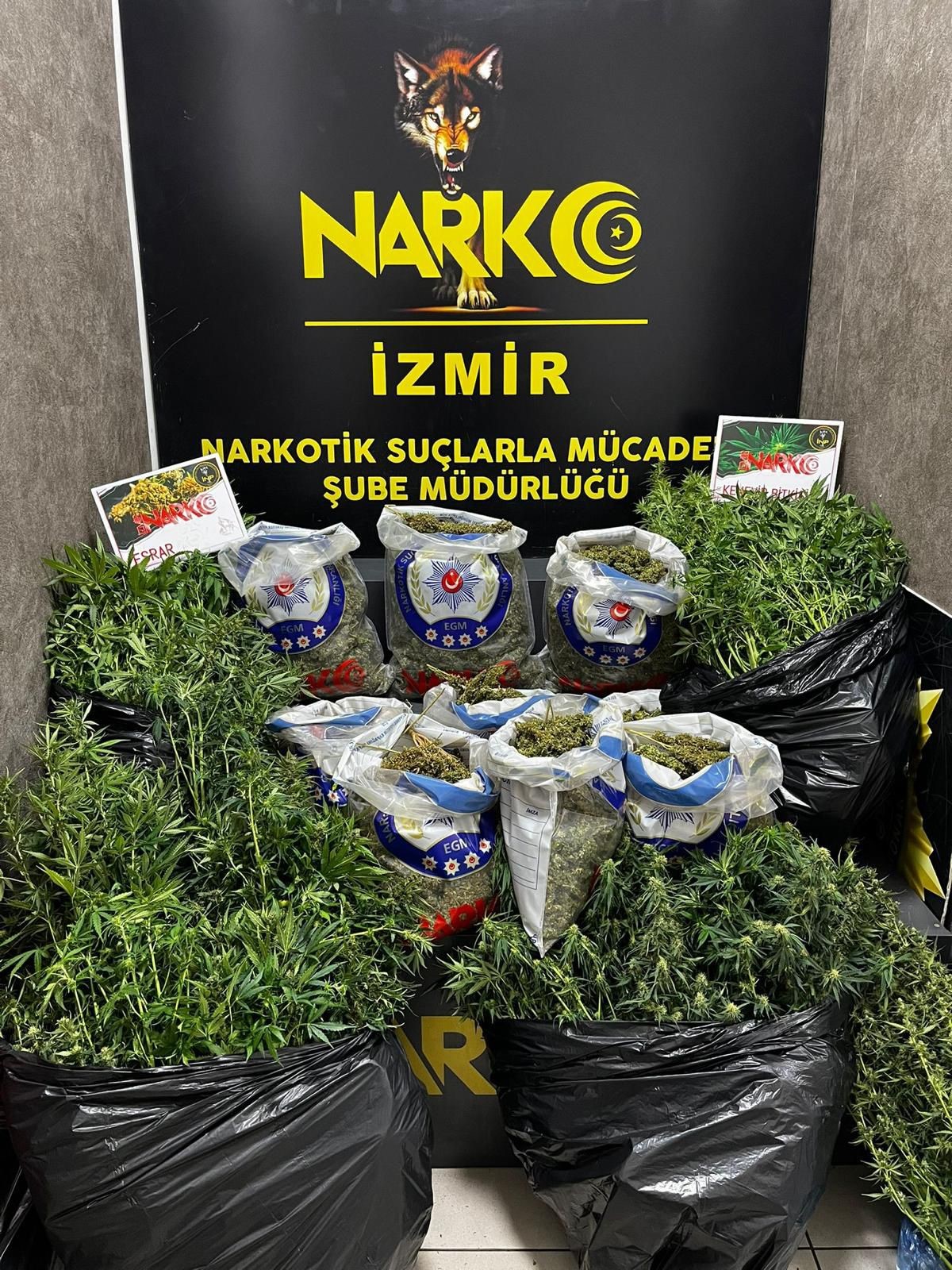 Izmir'de Uyuşturucu Tacirlerine Darbee (2)
