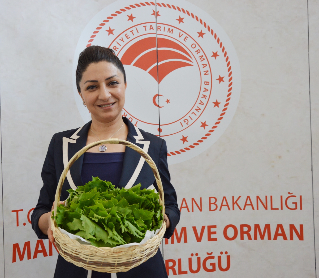 Manisa Asma Yaprak (2)
