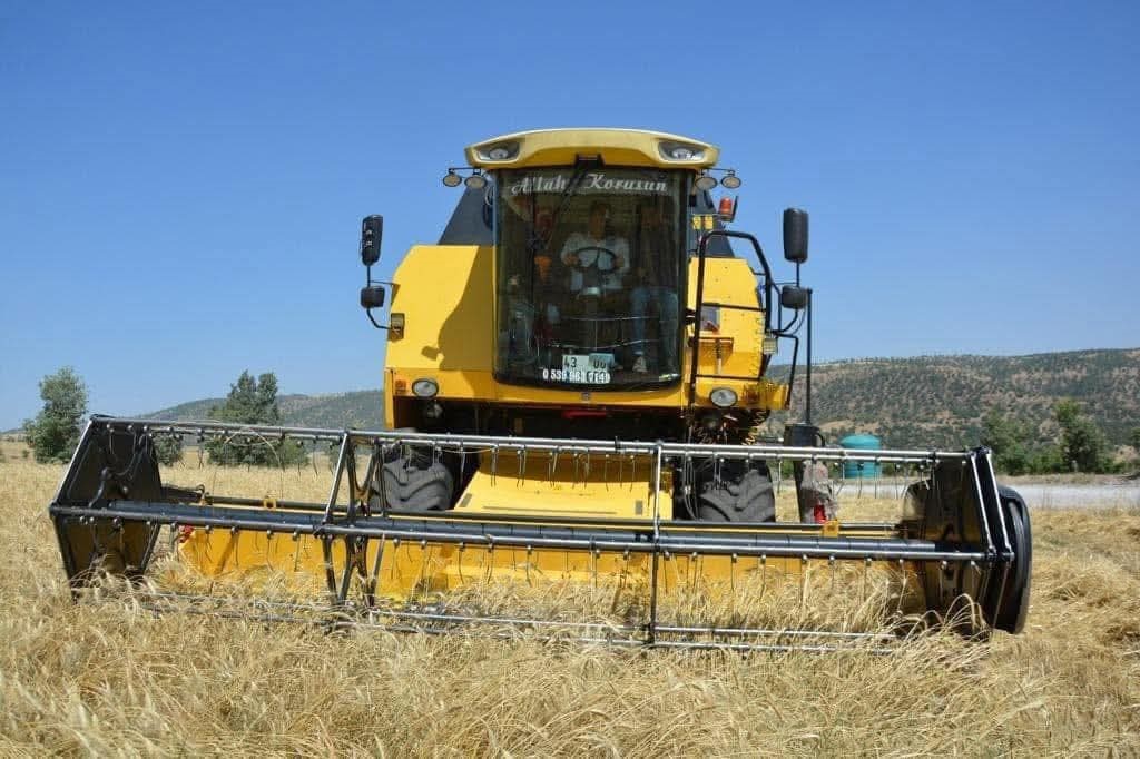 Manisa Biçer Döver (2)