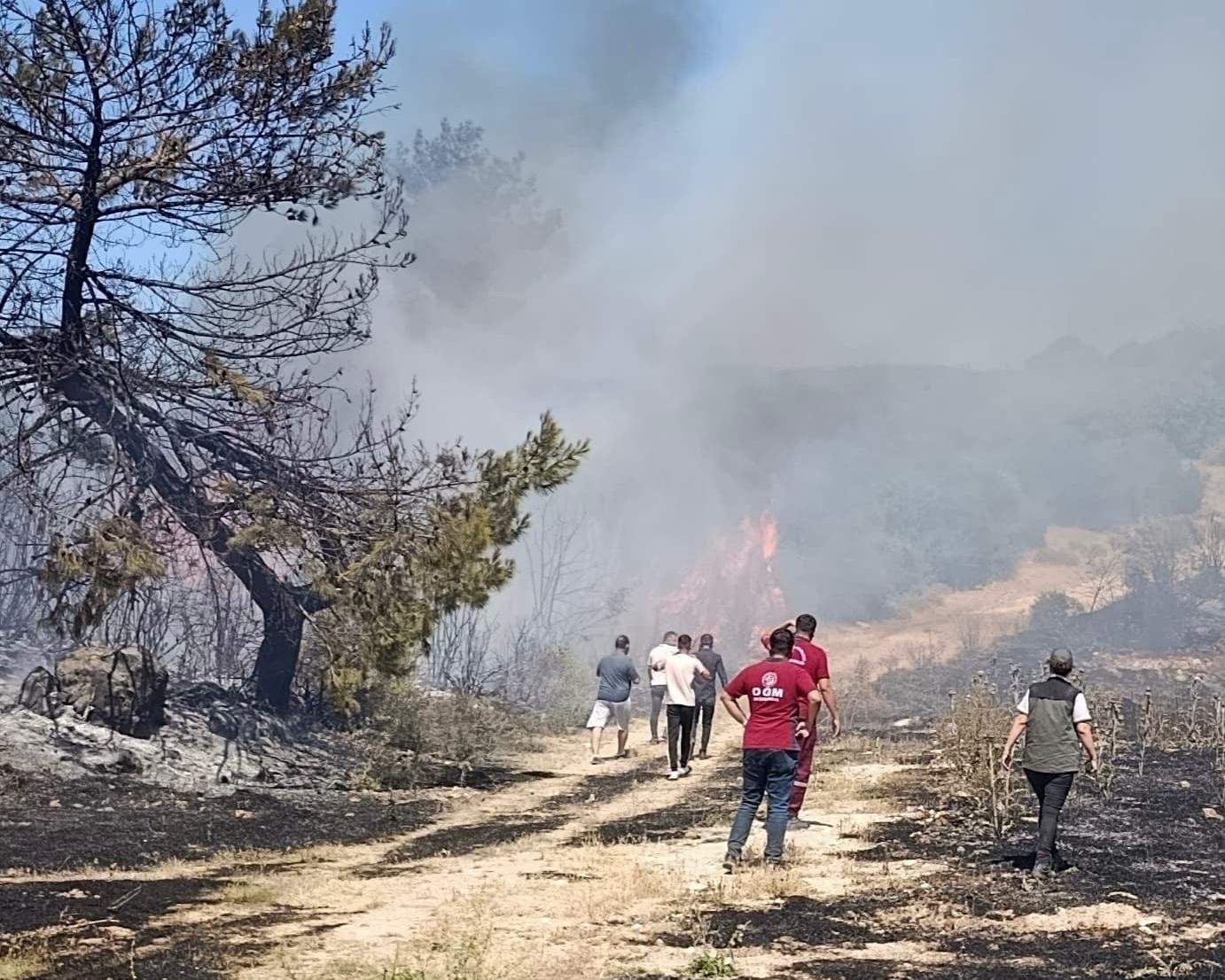 Manisa Soma'da Orman Yangınına Hızlı Müdahale Sebep Semaver Ateşi Çıktı (2)
