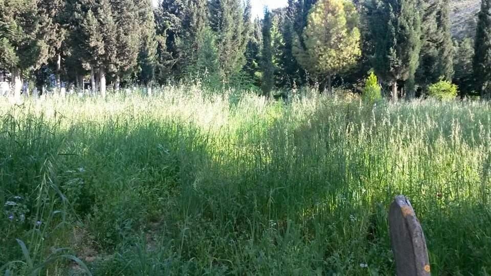 Manisa’nin Gönüllü Kahramanıı (1)-1