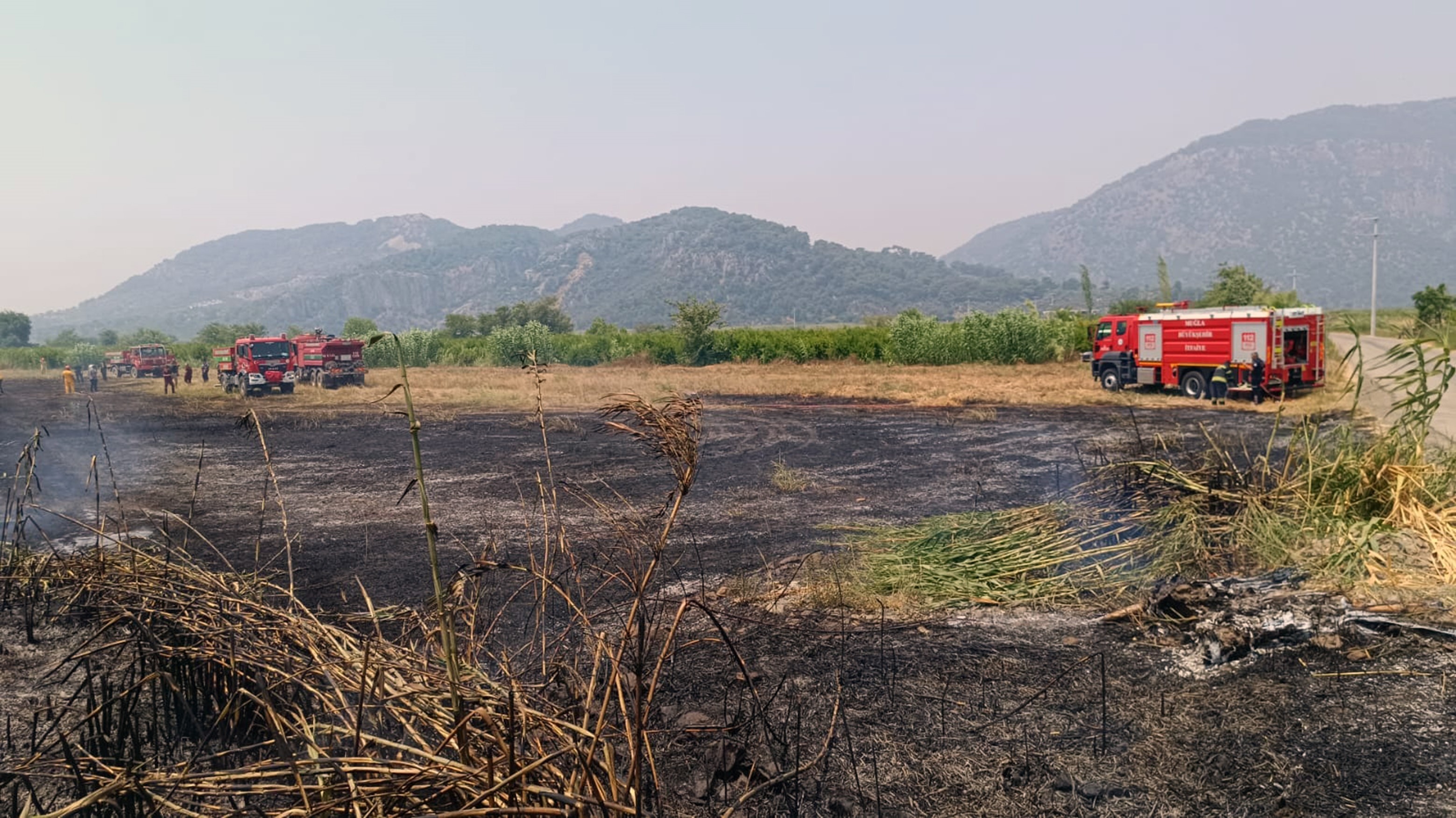 Muğla’da Sazlık Yangını Kontrol Altına Alındı (3)