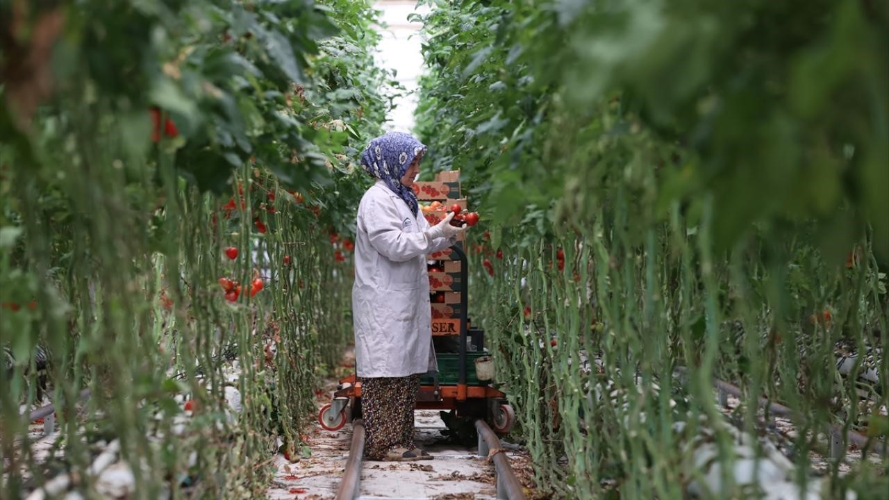 Türkiye’nin Potansiyeli Manisa’da Konuşuldu (5)