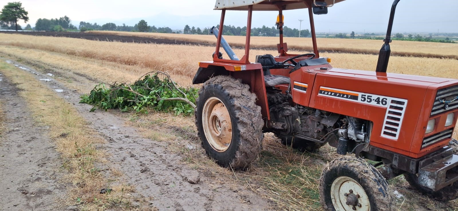 A W500088 03