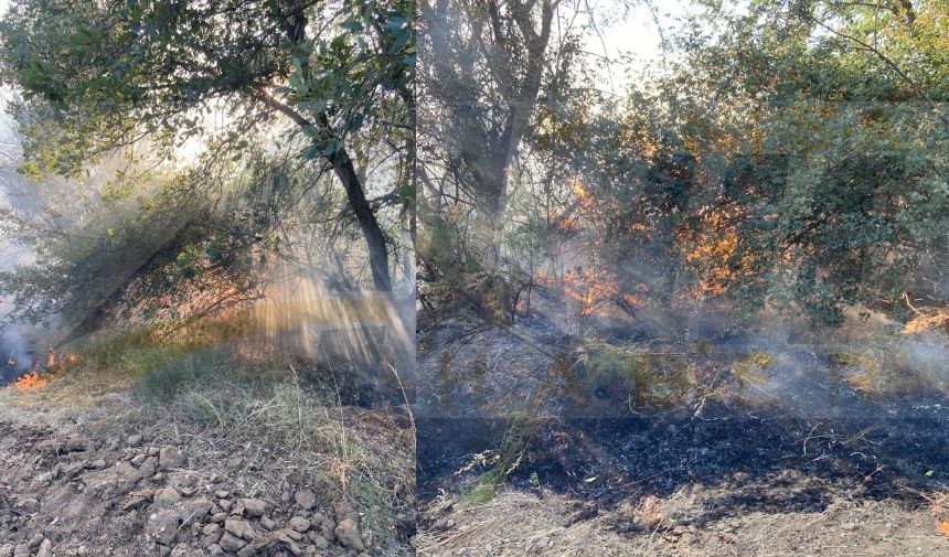 Iskeleden Kendini Denize Bırakarak Hayatına Son Verdi (1)