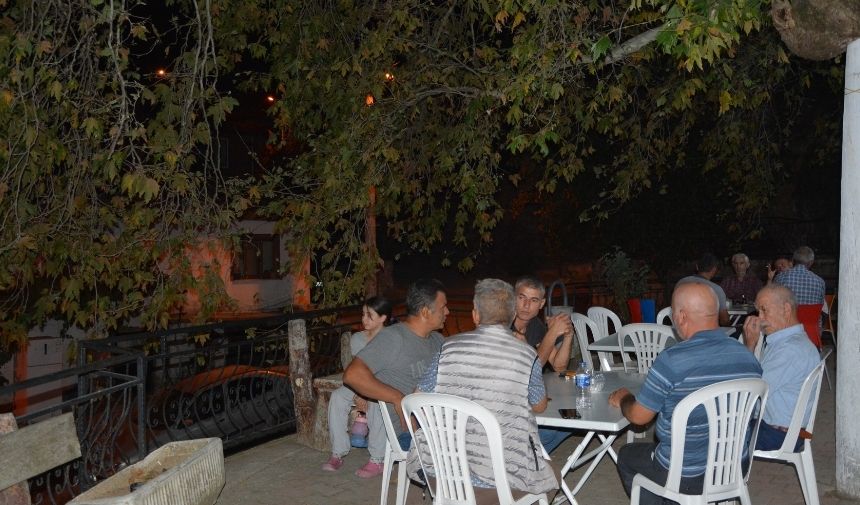 Manisa 2 Binlık Çınar (1)