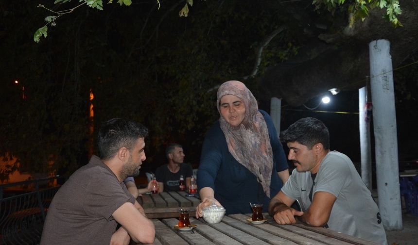 Manisa 2 Binlık Çınar