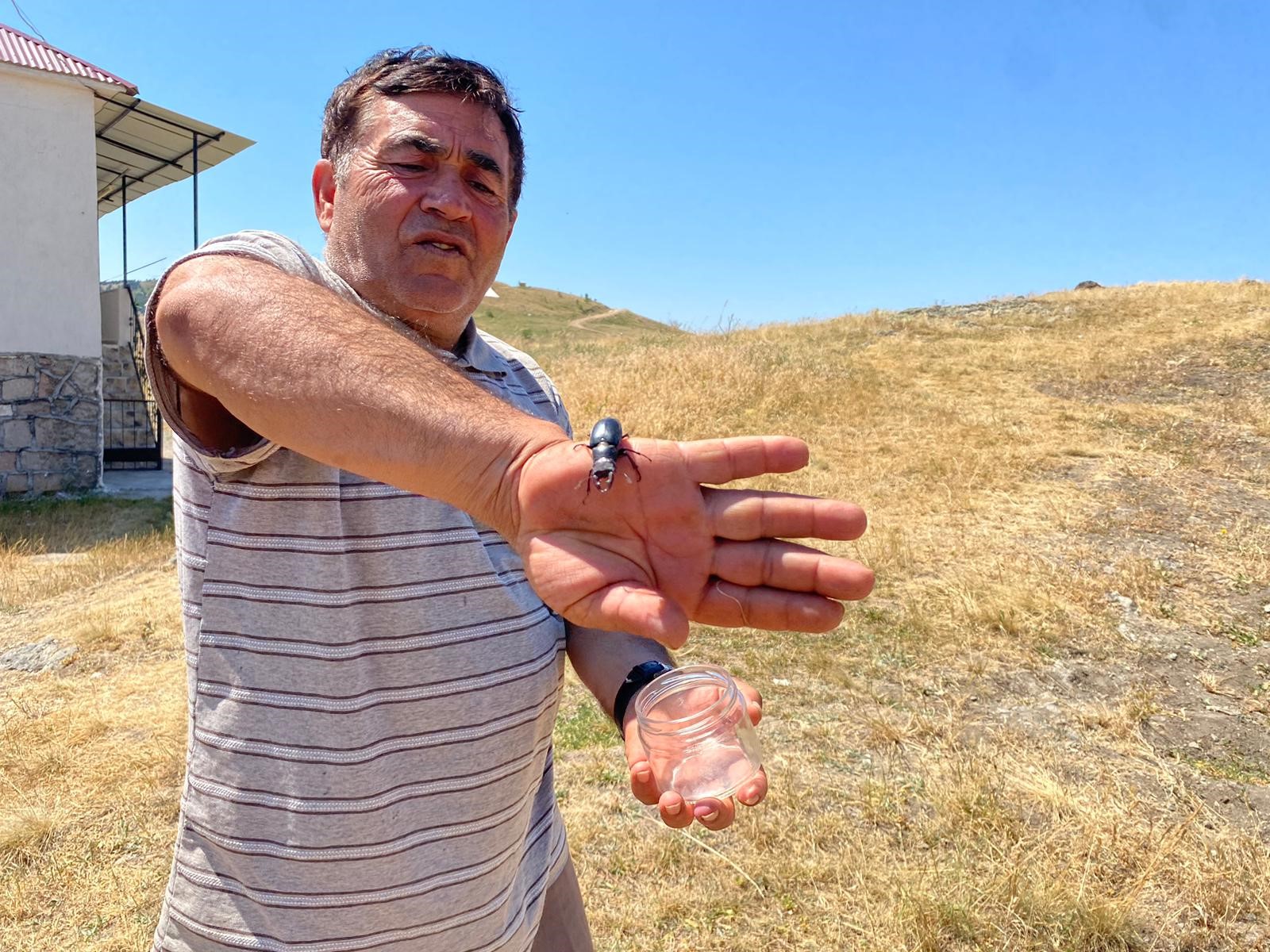 Manisa Böcek Kaçan (4)