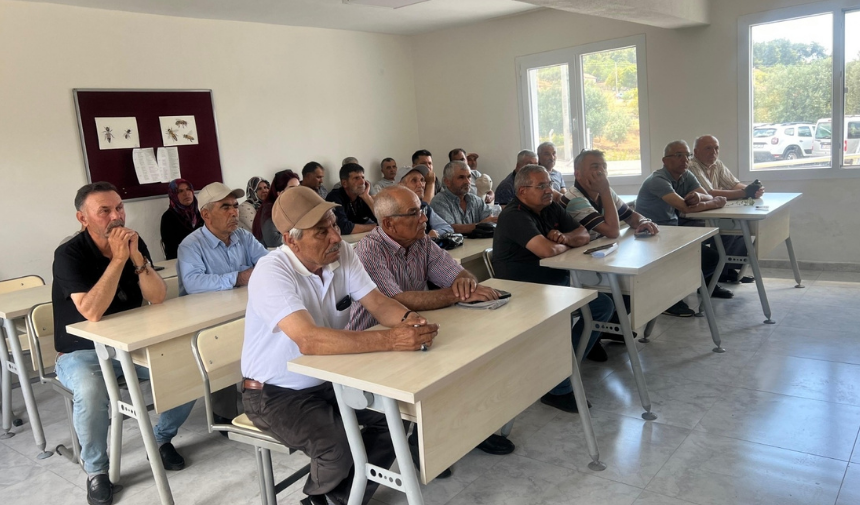 Manisa'da Arı Üretimine Destek 1.1