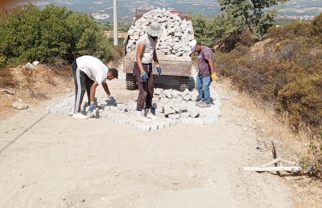 Parke Taşı Ege (1)