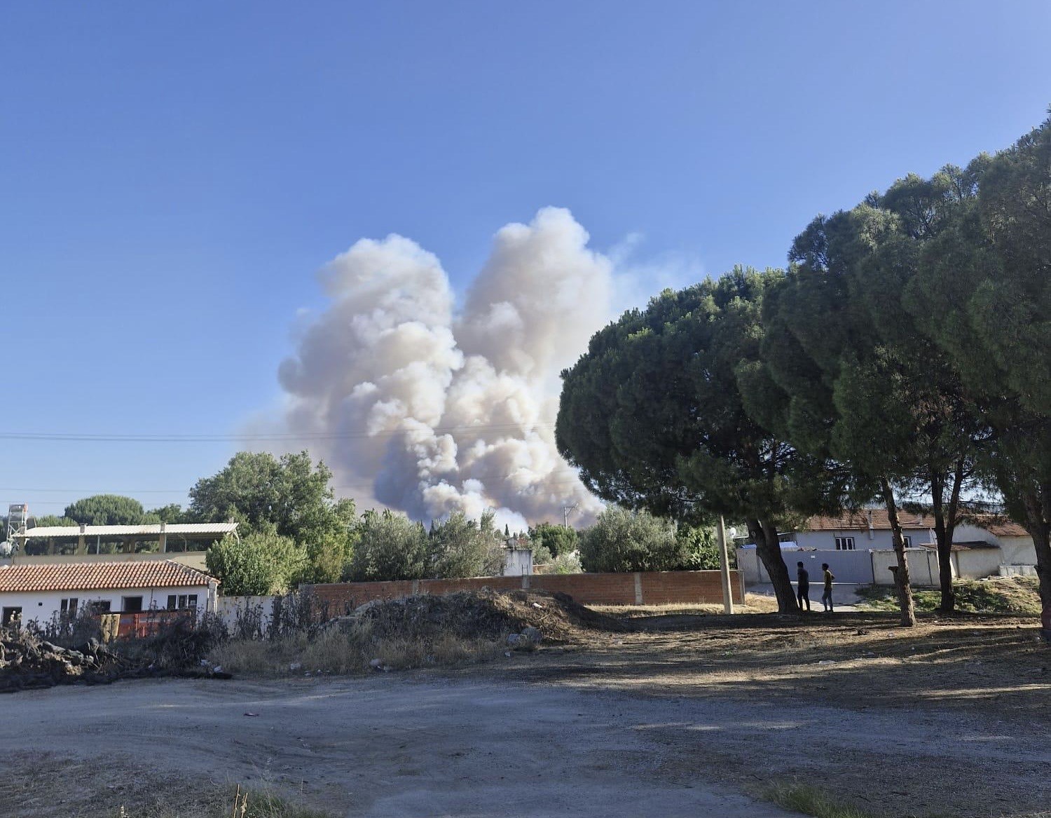 Saruhanlı Yangın (2)