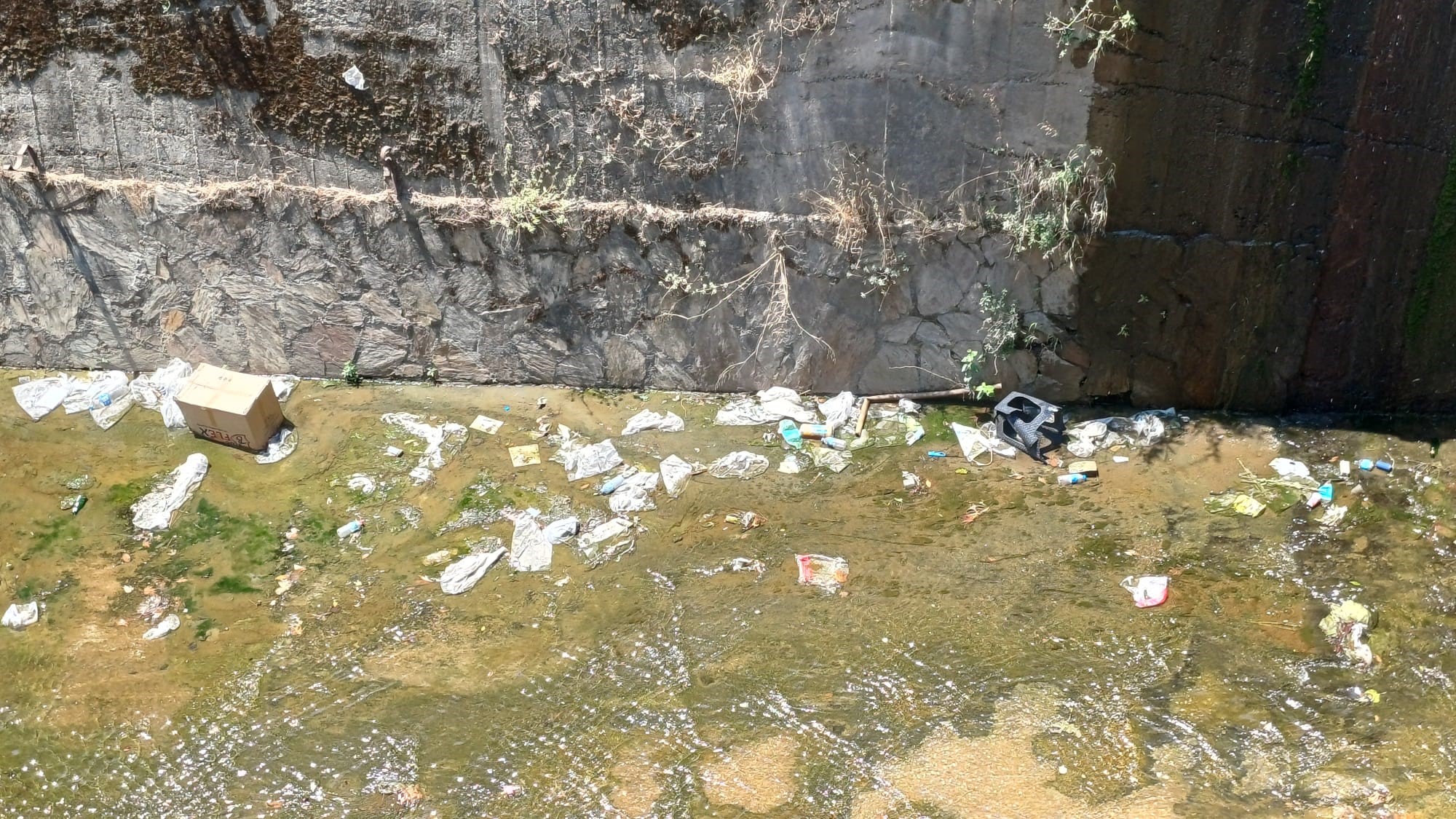 Tabakane Deresi (4)