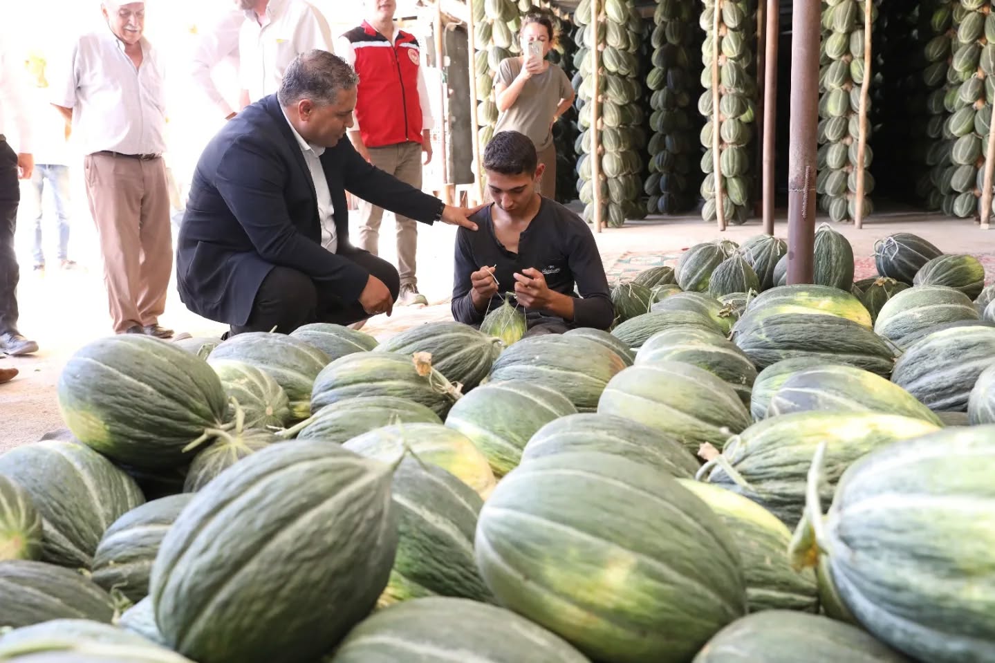 Manisa'da hasat edilen kavunlar geleneksel yöntemler ile depolanıyor-1
