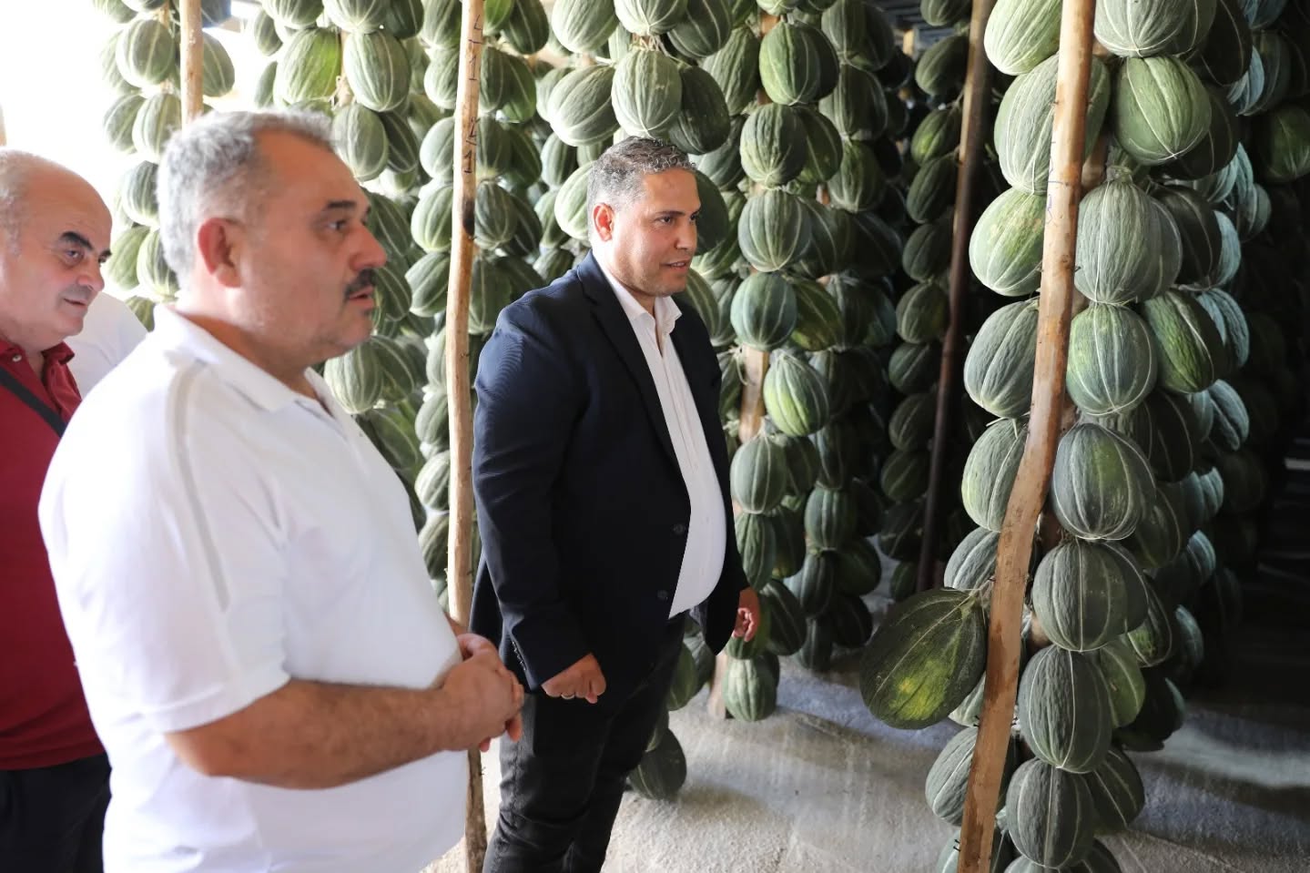 Manisa'da hasat edilen kavunlar geleneksel yöntemler ile depolanıyor-2