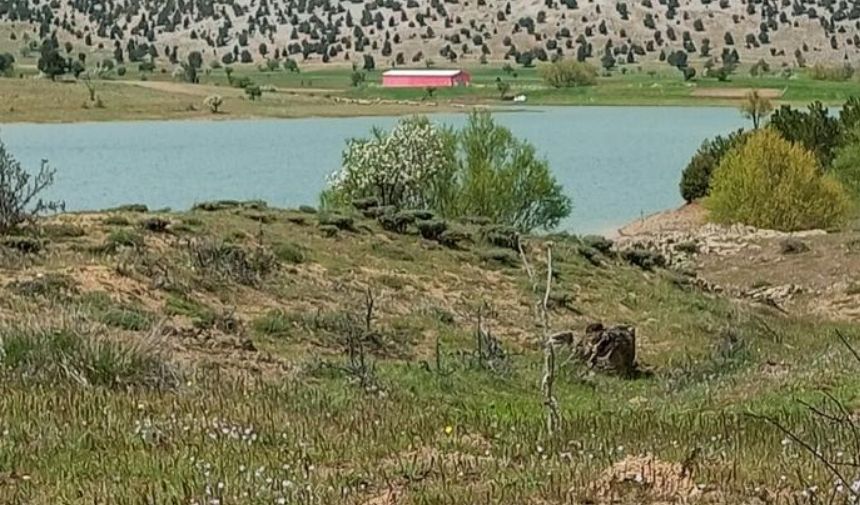 Aydoğan Gölü (10)