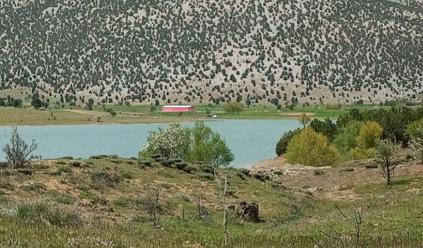 Aydoğan Gölü (8)