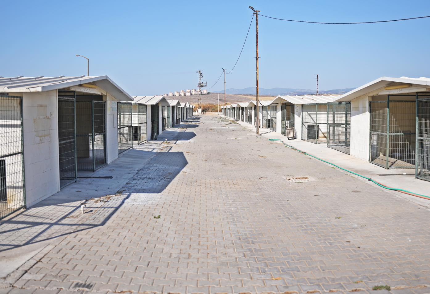 Barınak