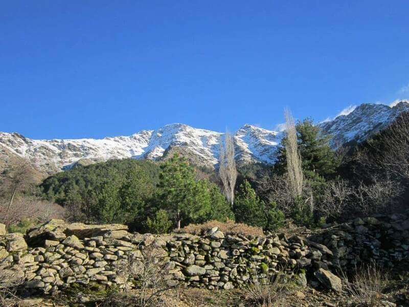 Bozdağ Kamp Alanı