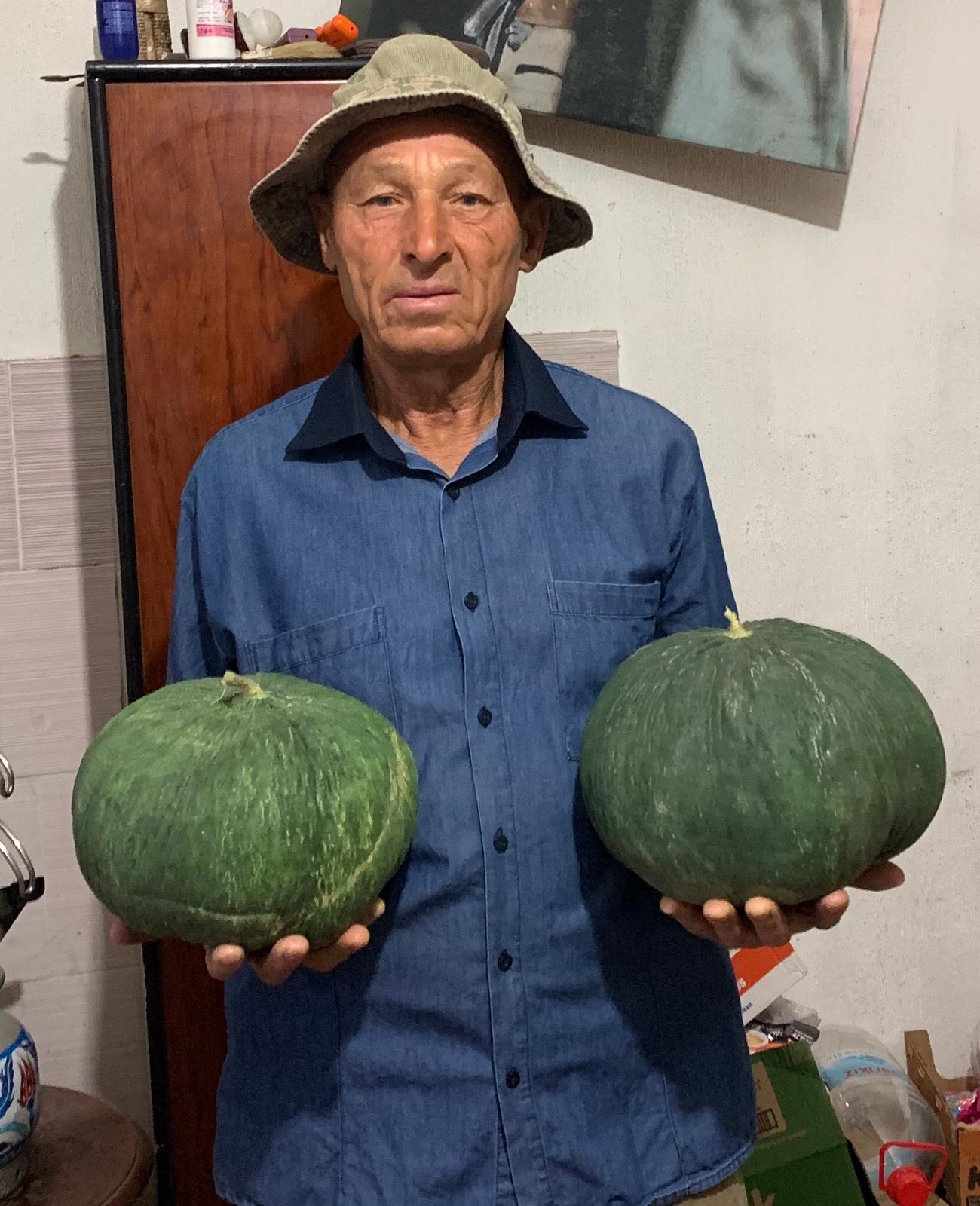 Çavuşlar Kavunu (2)