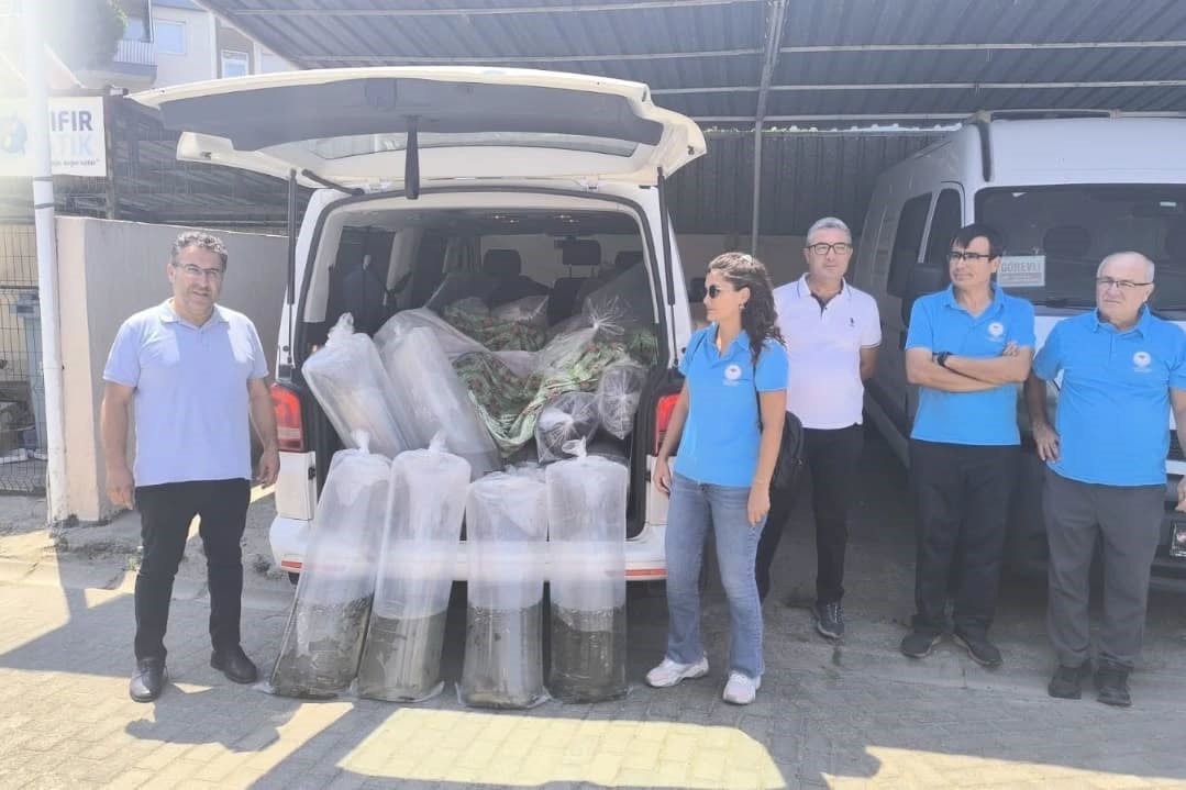 Ege'de Binlerce Sazan Yavrusu Doğayla Buluştu (2)