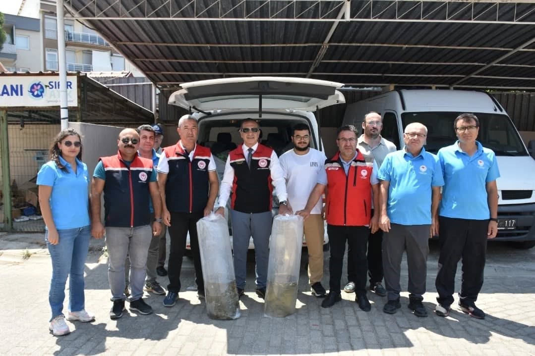 Ege'de Binlerce Sazan Yavrusu Doğayla Buluştu (4)