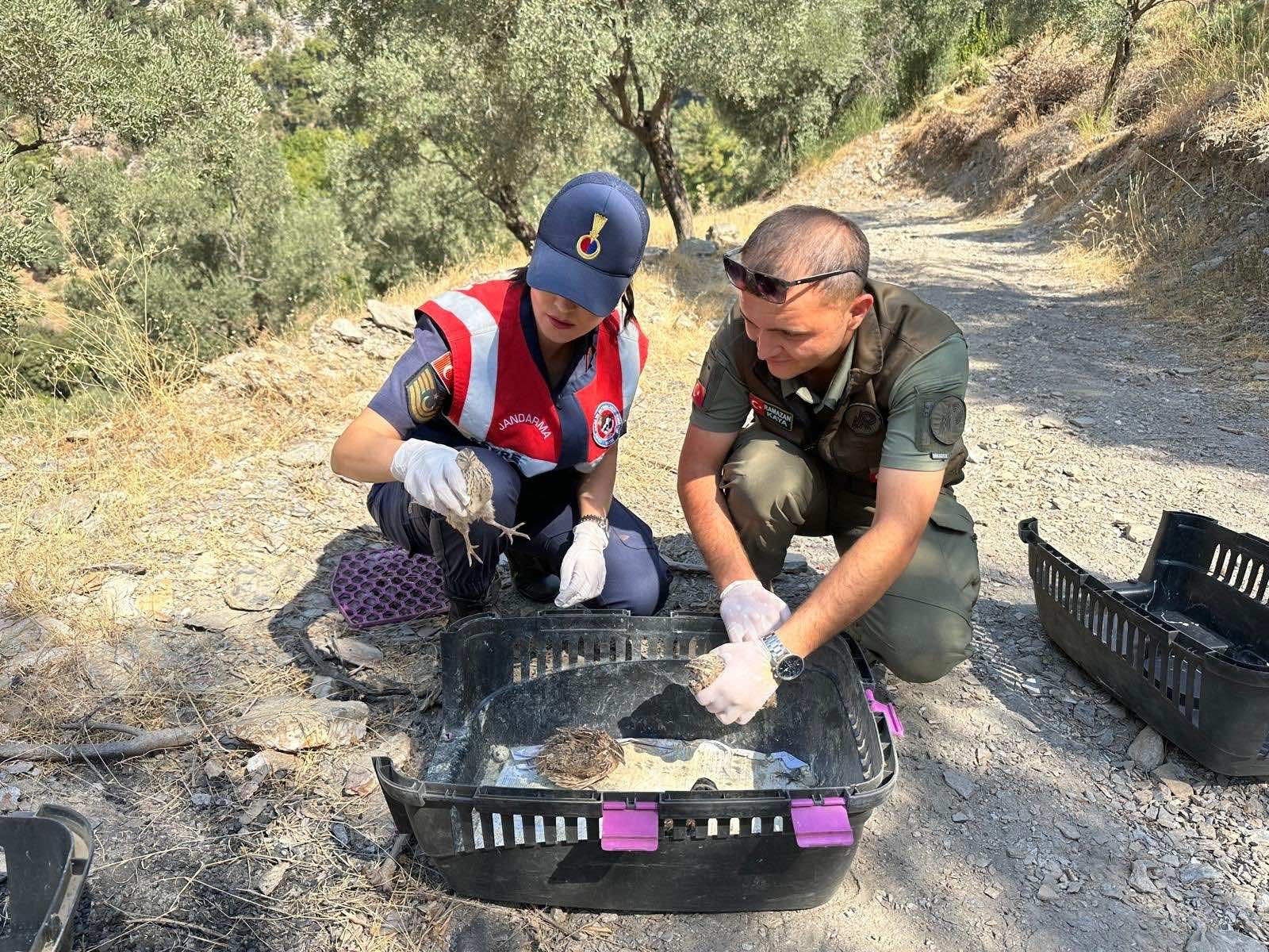 Ege'de Doğa Koruma Faaliyetleri Devam Ediyor! (3)