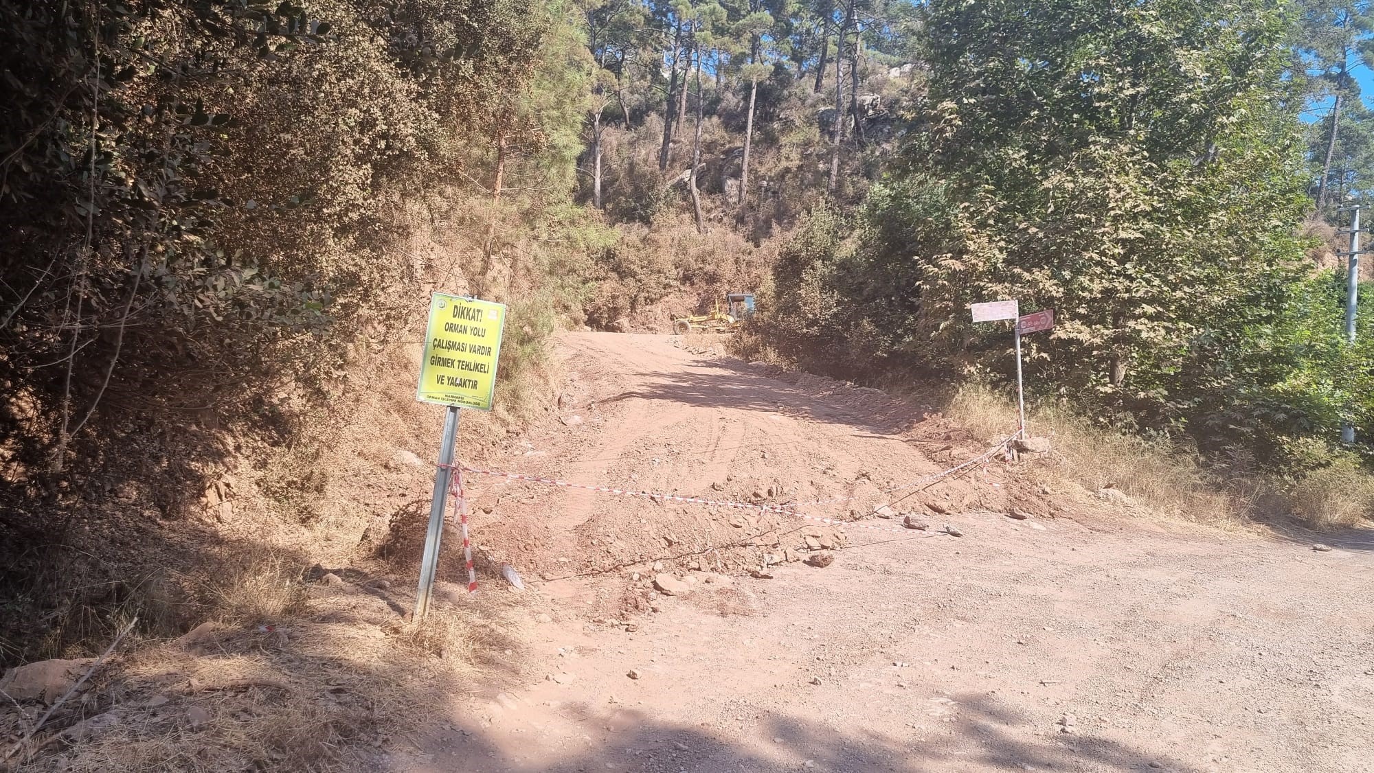 Ege'de Ormanlık Alanda Çalışmalar Devam Ediyor! (3)