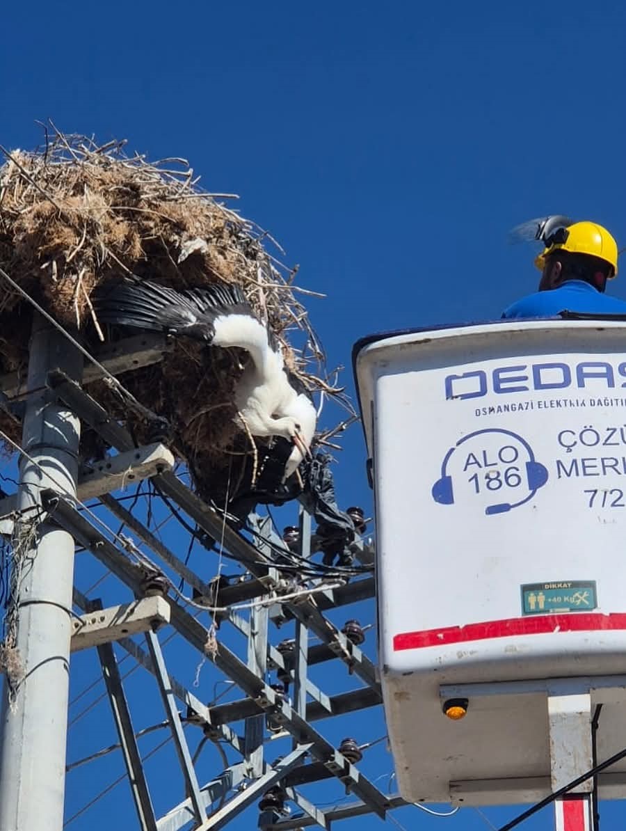 Elektrik Direğindeki Leyleği Oedaş Ve Doğa Koruma Ekipleri Kurtardı (2)