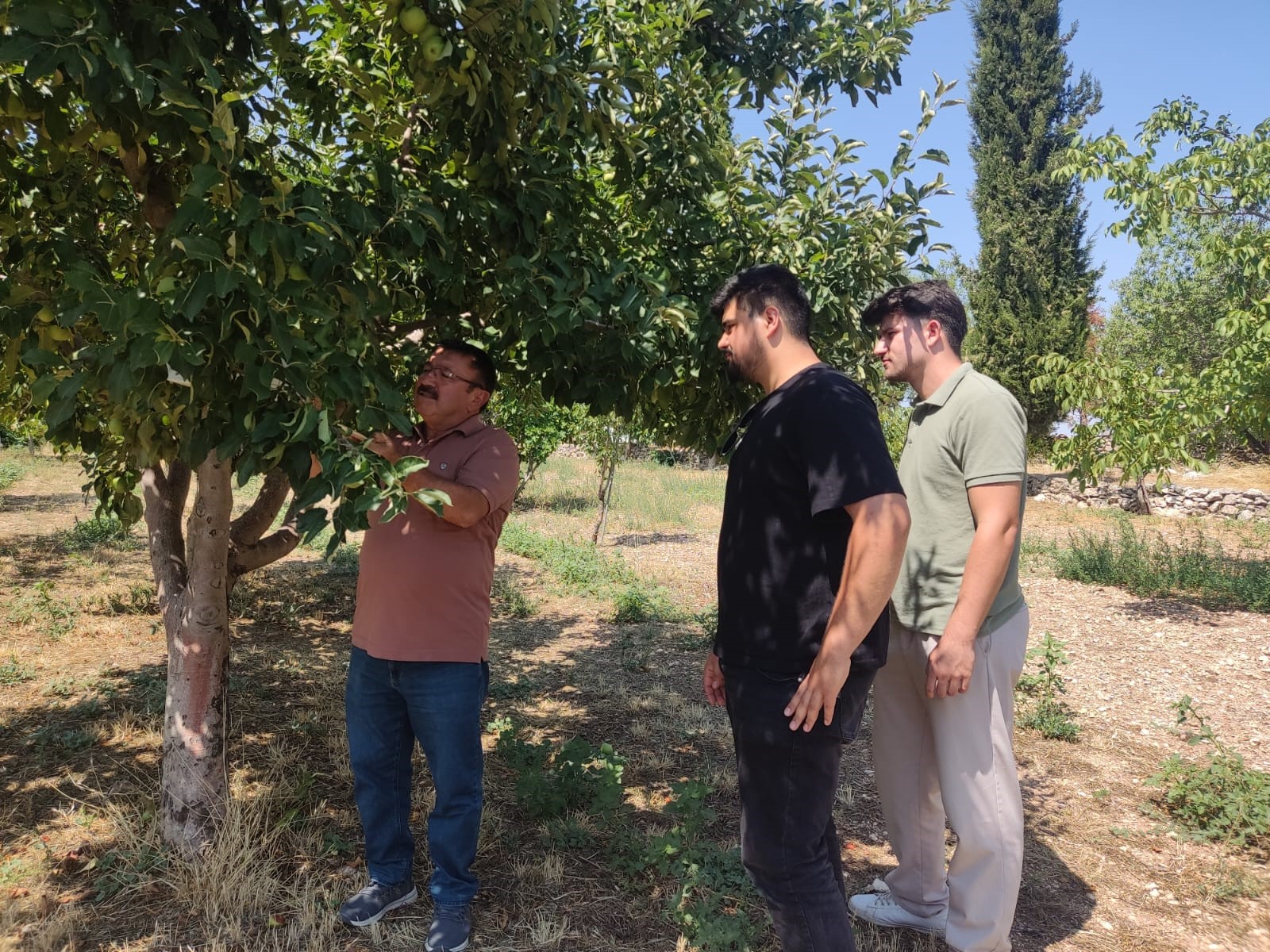 Feromen Tuzağı (1)