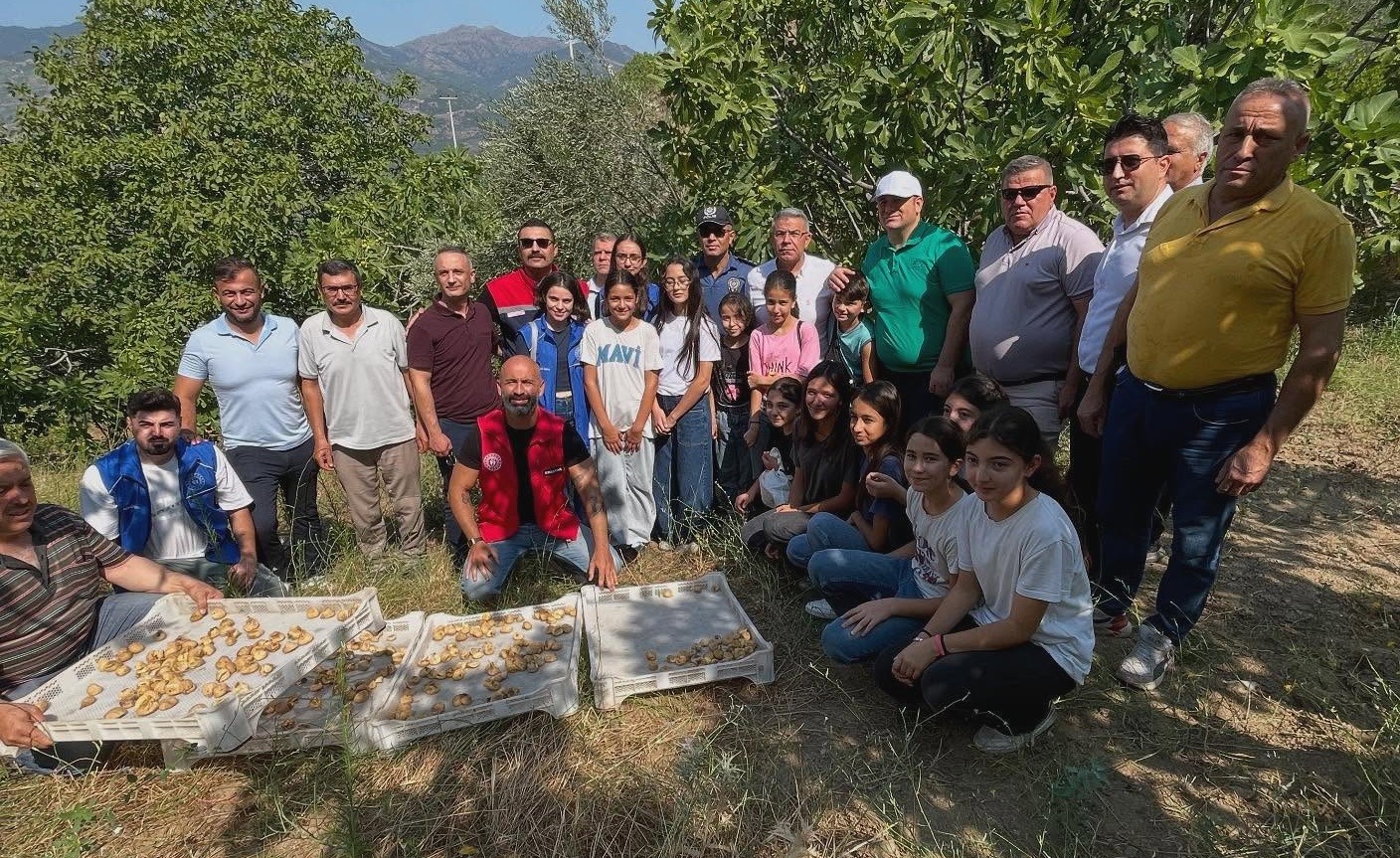 Hasat Şenliği (2)