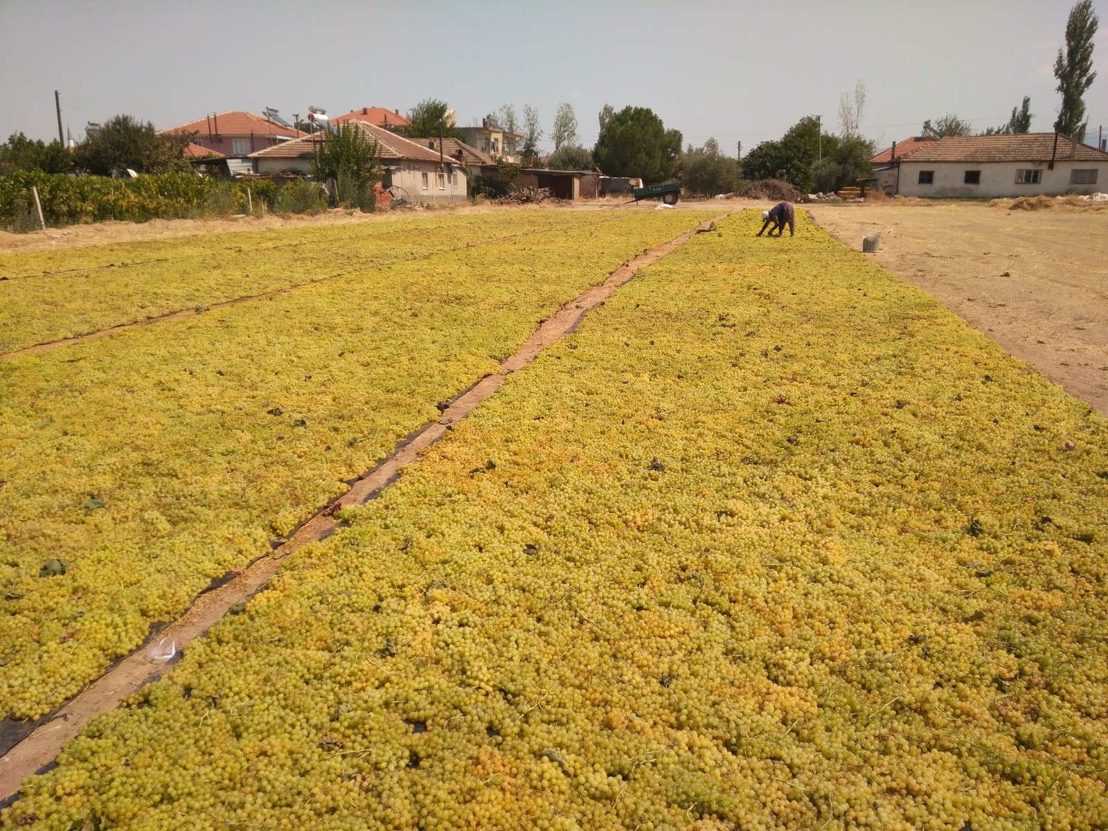 I M G 20250819 W A0020