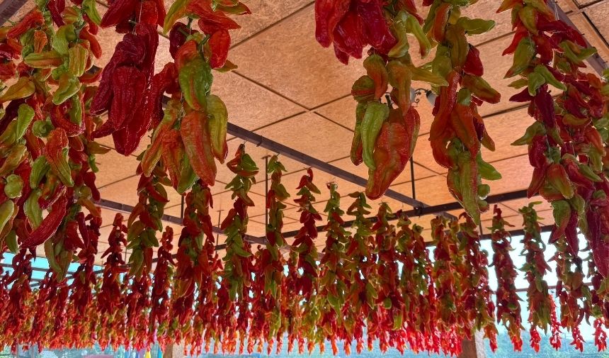 Kale Bi̇beri̇ 2