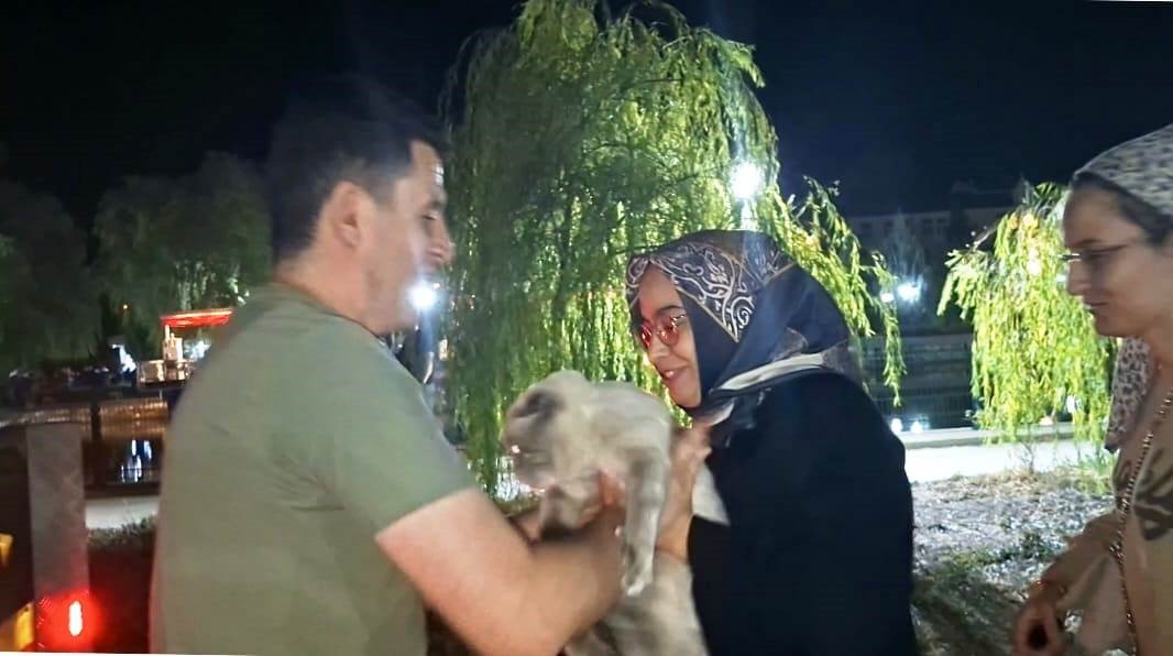 Kedi Kurtarma Tebriks (1)
