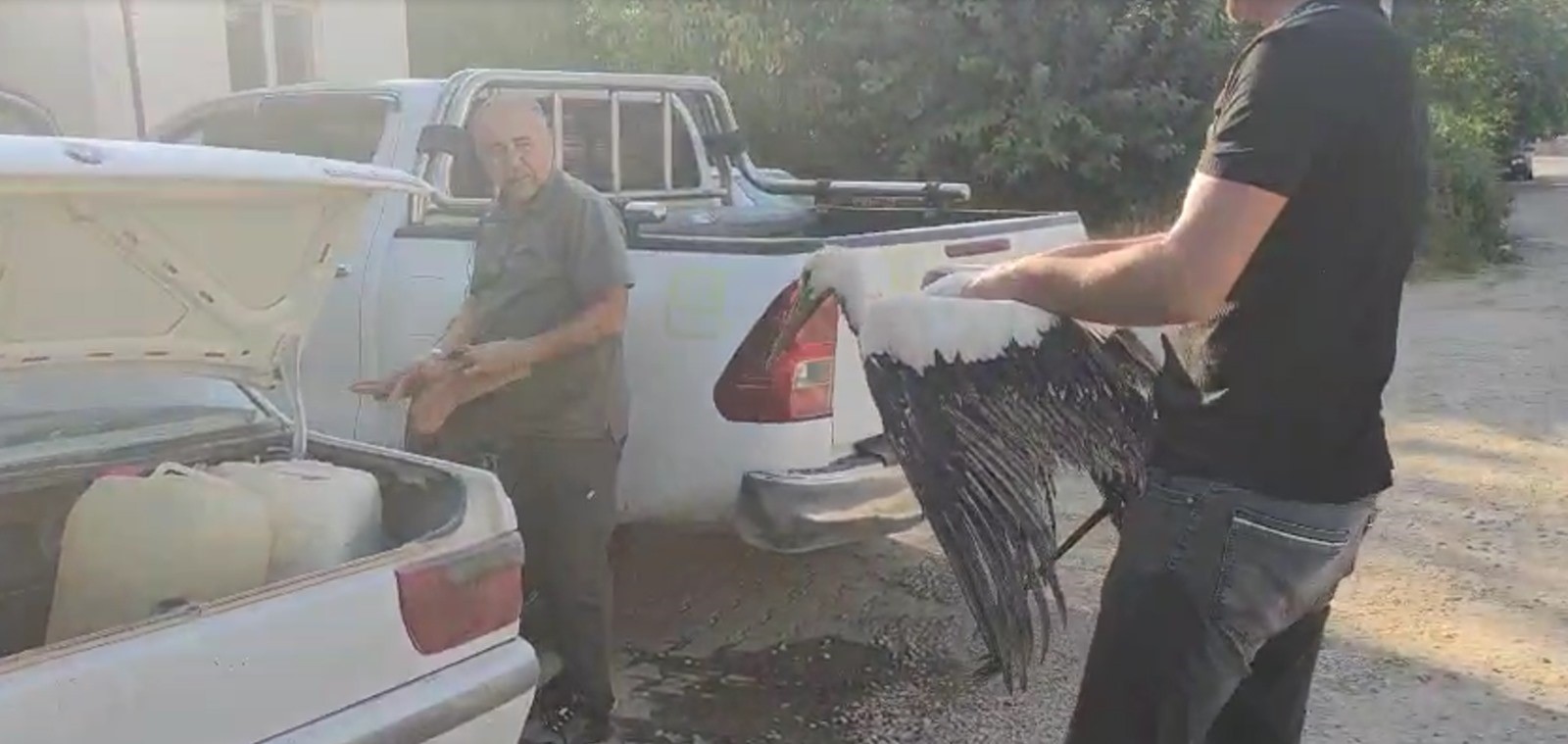 Leyleğin Imdadına Balıkçılar Yetişti (2)