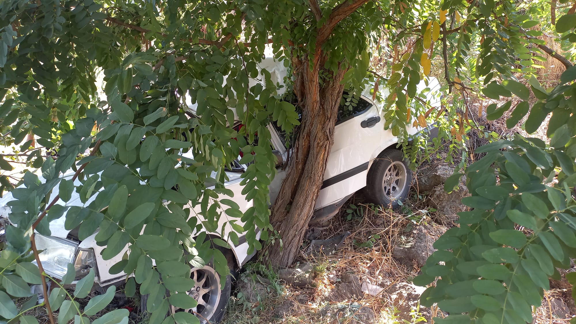 Manisa Kaza (4)-4