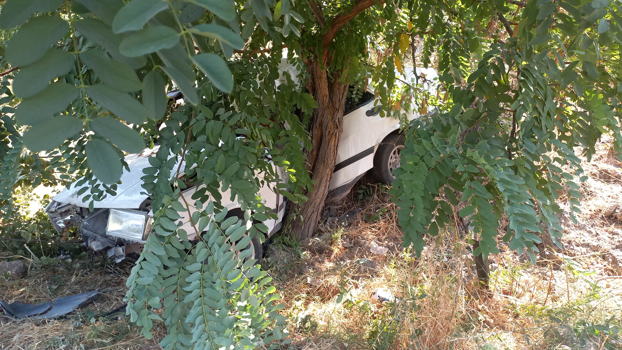 Manisa Kaza (6)-1