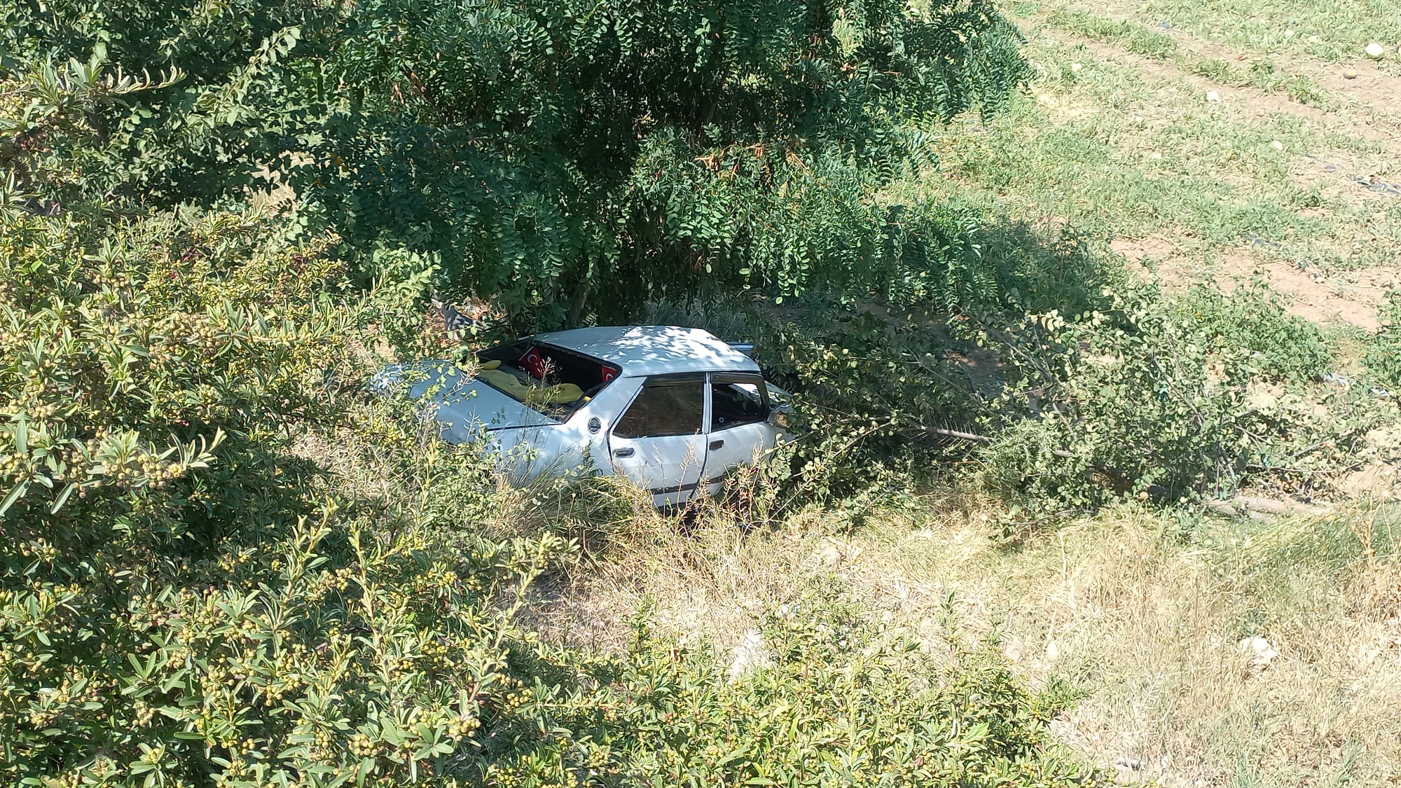 Manisa Kaza (8)-1